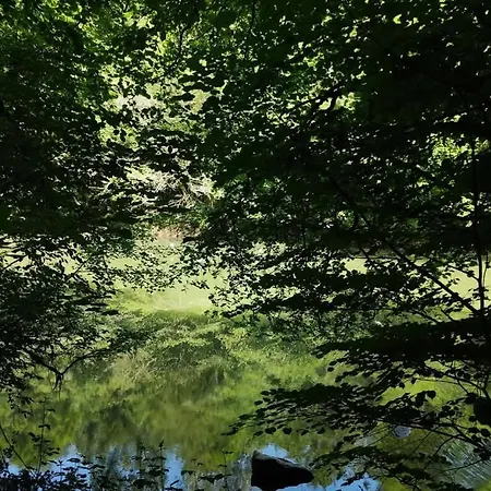 Les Bulles Du Gourg Luksustelt